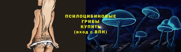 гашик Абинск