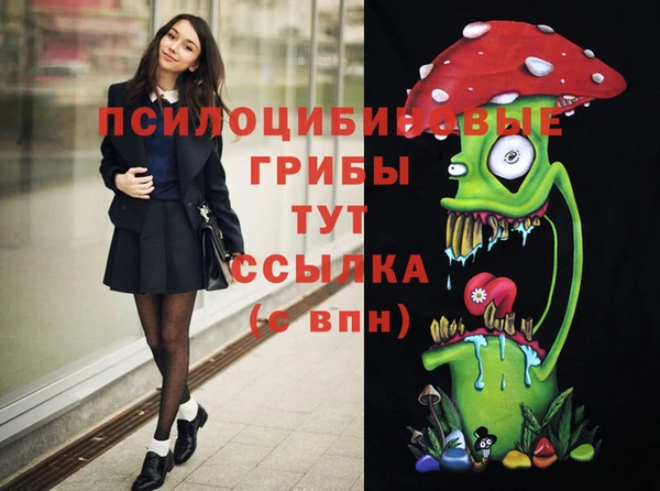 гашик Абинск