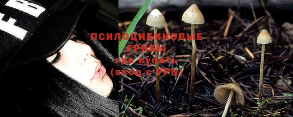 гидропоника Абаза