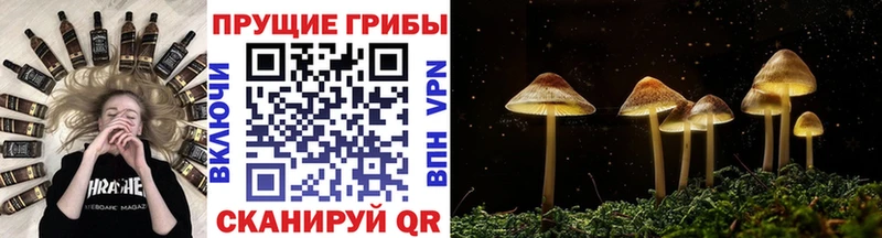 наркотики  Струнино  Галлюциногенные грибы ЛСД 